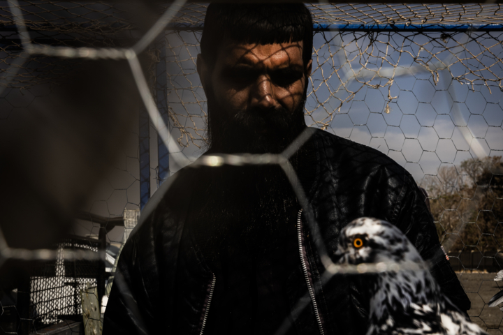 قاب زندگی/ اتوبان آزادگان و جمعه‌هایی پر از قفس