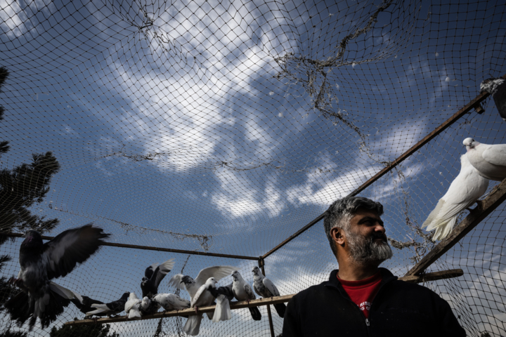 قاب زندگی/ اتوبان آزادگان و جمعه‌هایی پر از قفس