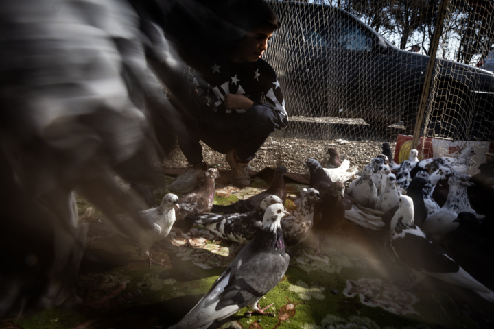 قاب زندگی/ اتوبان آزادگان و جمعه‌هایی پر از قفس