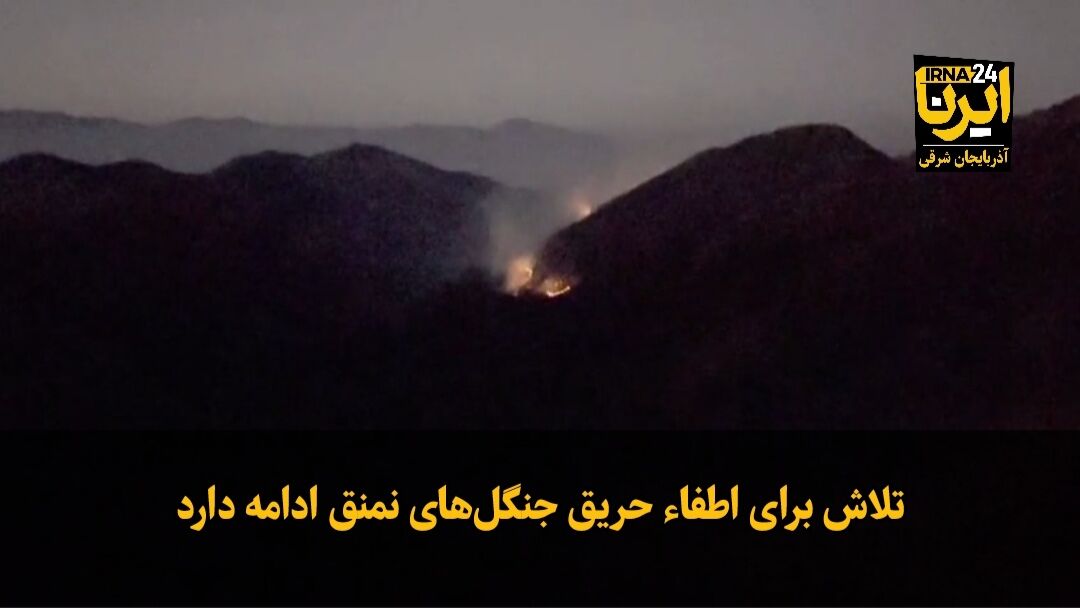 فیلم|تلاش‌ها برای اطفای حریق جنگل‌های «نمنق» ادامه دارد