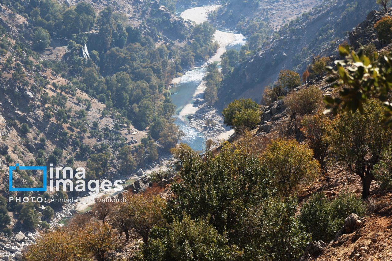 زاگرس کانون تنوع زیستی در دنیا محسوب می‌شود