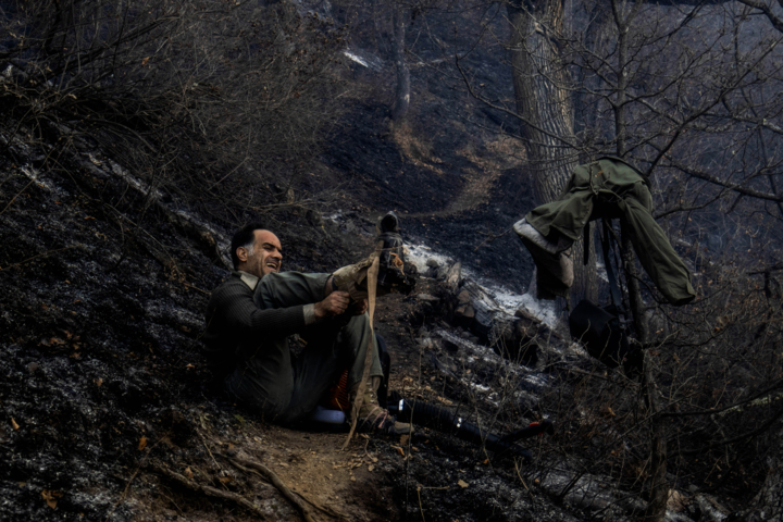مدیرکل منابع طبیعی مازندران: شکارچیان غیرمجاز عاملان احتمالی آتش سوزی الیت هستند