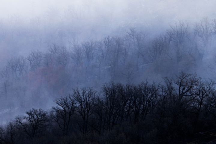 آتش در بخشی از جنگلهای عباسآباد مازندران شعلهور شد