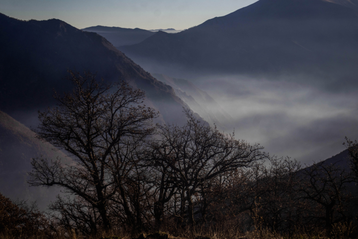 یک آتش و سه گزارش/ محیطزیست در آتشسوزی الیت تمامقد پای کار بود