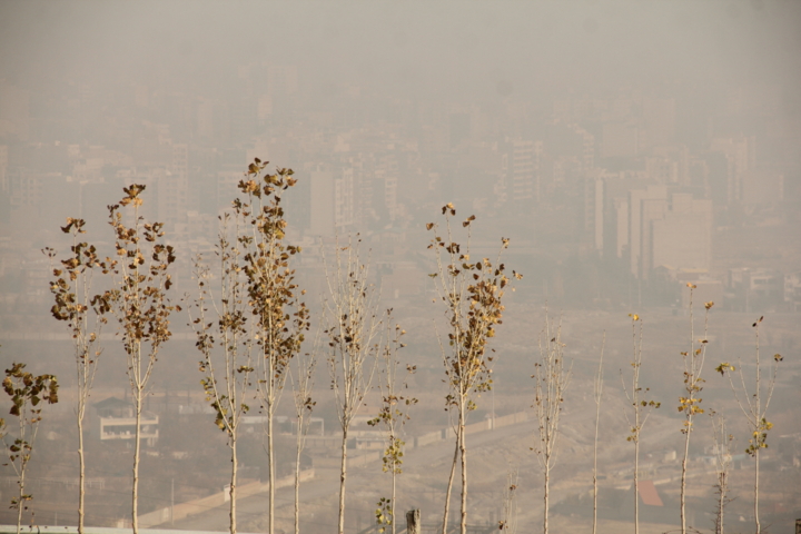 دود ۲۴ میلیون خودروی فرسوده در چشم مردم/ نوسازی ناوگان حمل و نقل، نفس تازه شهر