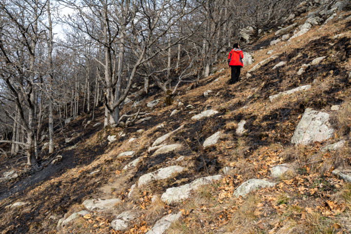 آتشسوزی جنگلهای «خیبوس» مازندران مهار شد