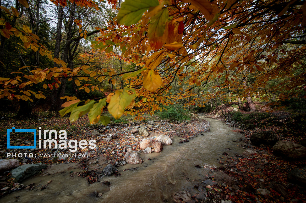 خزان را با روایت محسن چاوشی، رضا صادقی و سیروان خسروی بشنویم