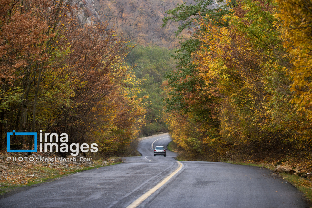 خزان را با روایت گرشا رضایی و محمد علیزاده به پایان برسانیم