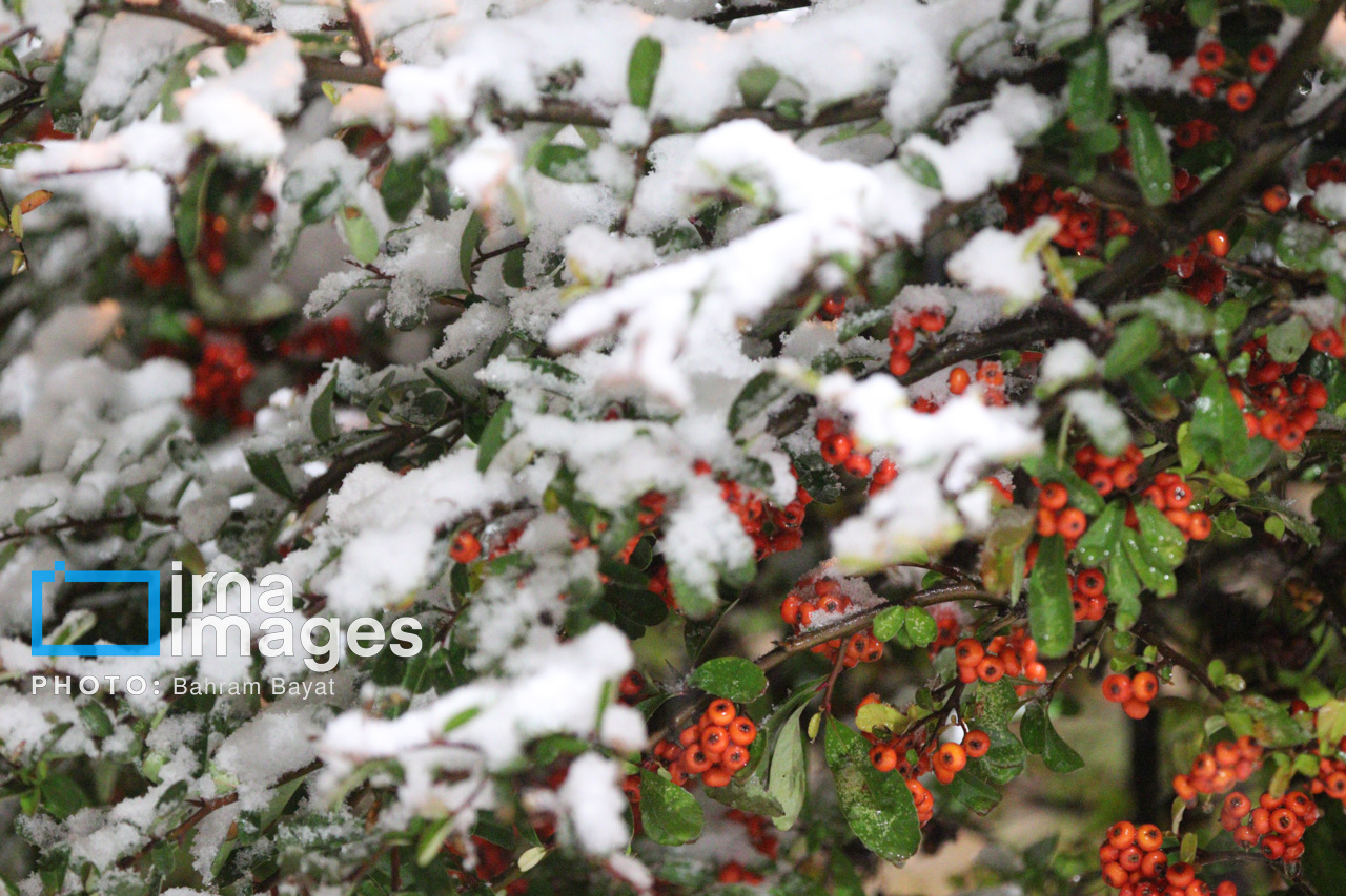 پیشبینی بارش برف در لرستان