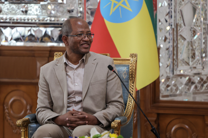 قالیباف: فعال شدن سفارتخانه‌های ایران و اتیوپی برای توسعه روابط ضروری است