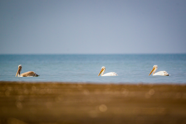 فعالیت‌های دریایی در خزر ممنوع شد
