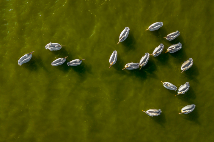 قاب زندگی | رقص با آب و باد