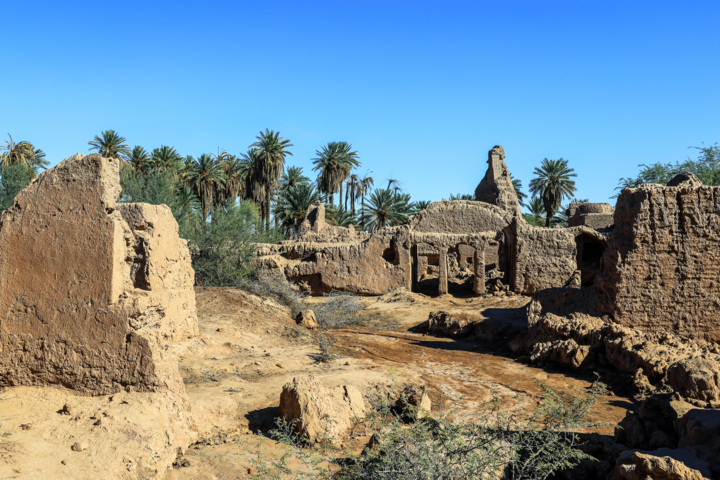 قاب زندگی| شفیعآباد، روستایی که از دل کویر به جهان سلام کرد