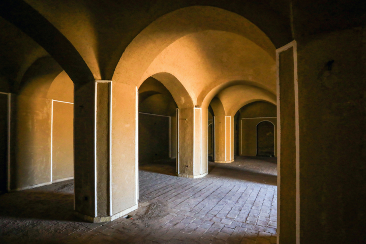 قاب زندگی| شفیعآباد، روستایی که از دل کویر به جهان سلام کرد