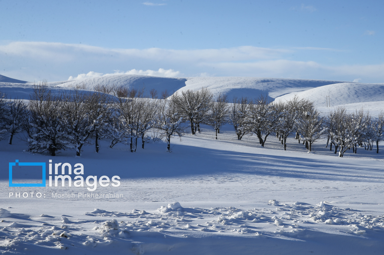 گرفتار شدن ۵ متردد مرزی در برف و کولاک ارتفاعات اشنویه