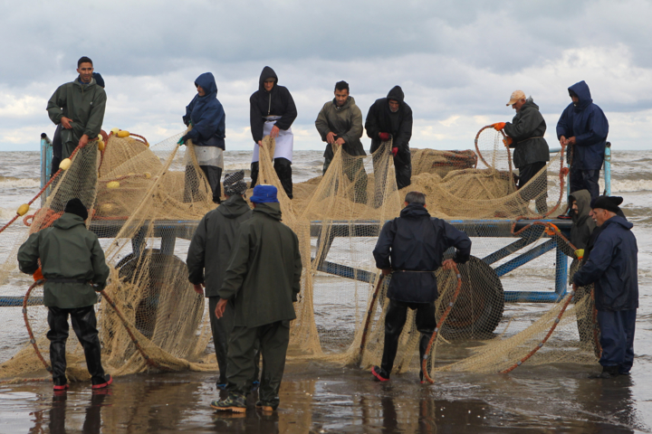 ارزش اقتصادی ماهیان صید شده از دریای مازندران ۵۵۰ میلیارد تومان رسید