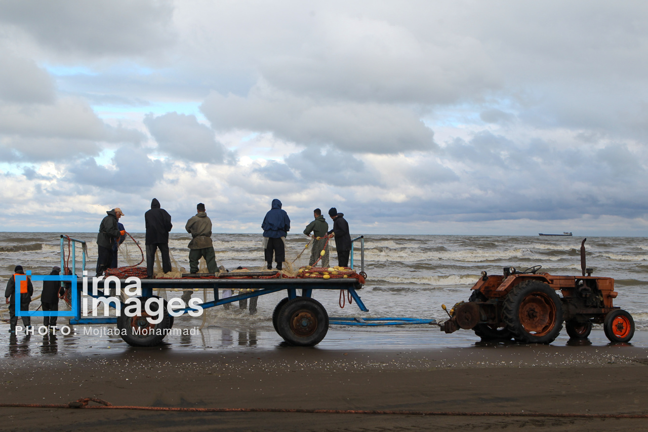ارزش اقتصادی ماهیان صید شده از دریای مازندران ۵۵۰ میلیارد تومان رسید