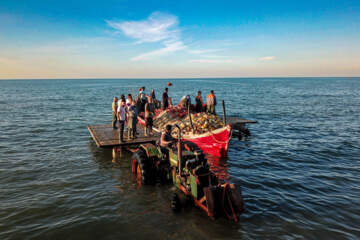 صید ماهی در خزر