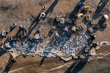 صید ماهی در خزر