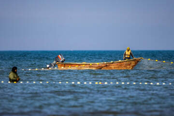 صید ماهی در خزر
