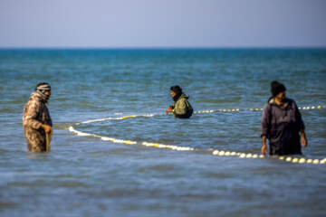 صید ماهی در خزر