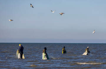 صید ماهی در خزر