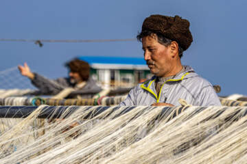 صید ماهی در خزر