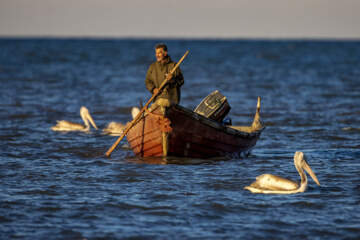 صید ماهی در خزر