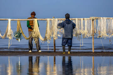 صید ماهی در خزر