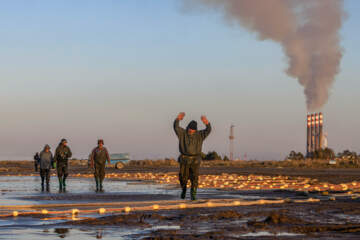 صید ماهی در خزر