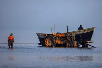 صید ماهی در خزر