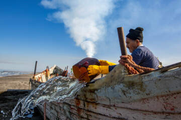 صید ماهی در خزر