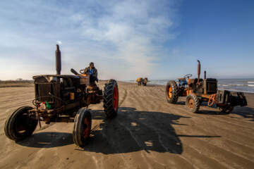 صید ماهی در خزر