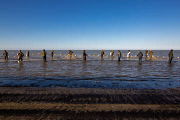 صید ماهی در خزر