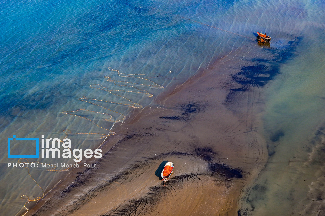 صید ماهی در خزر