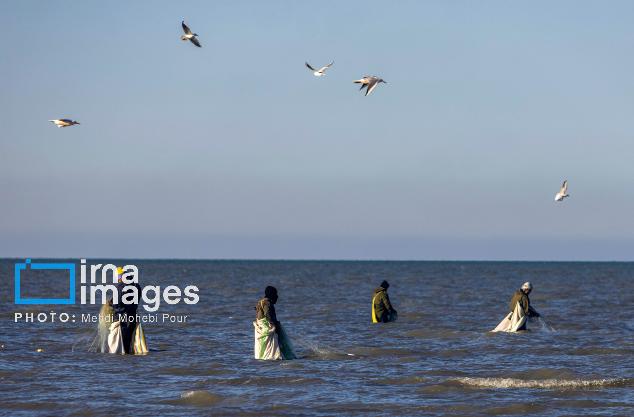 صید ماهی در خزر