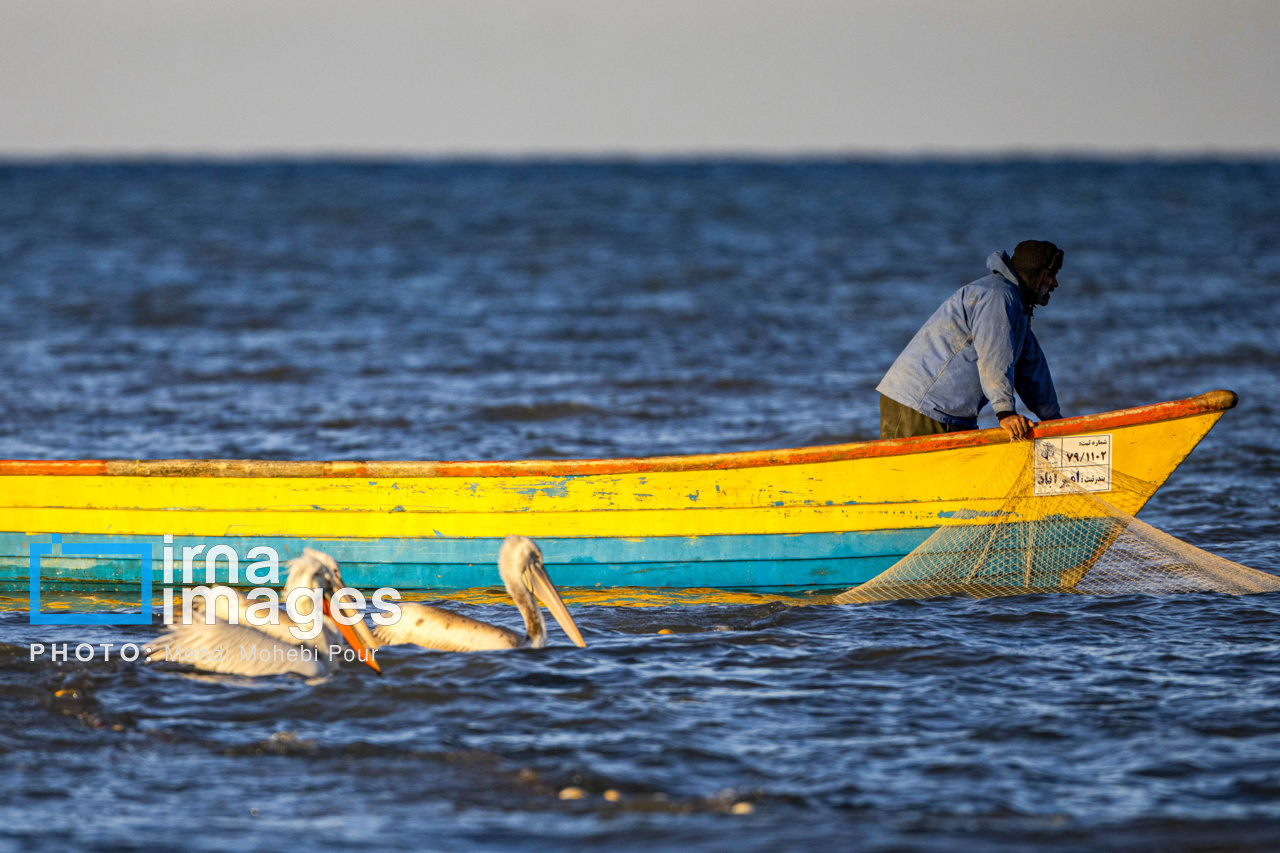 صید ماهی در خزر