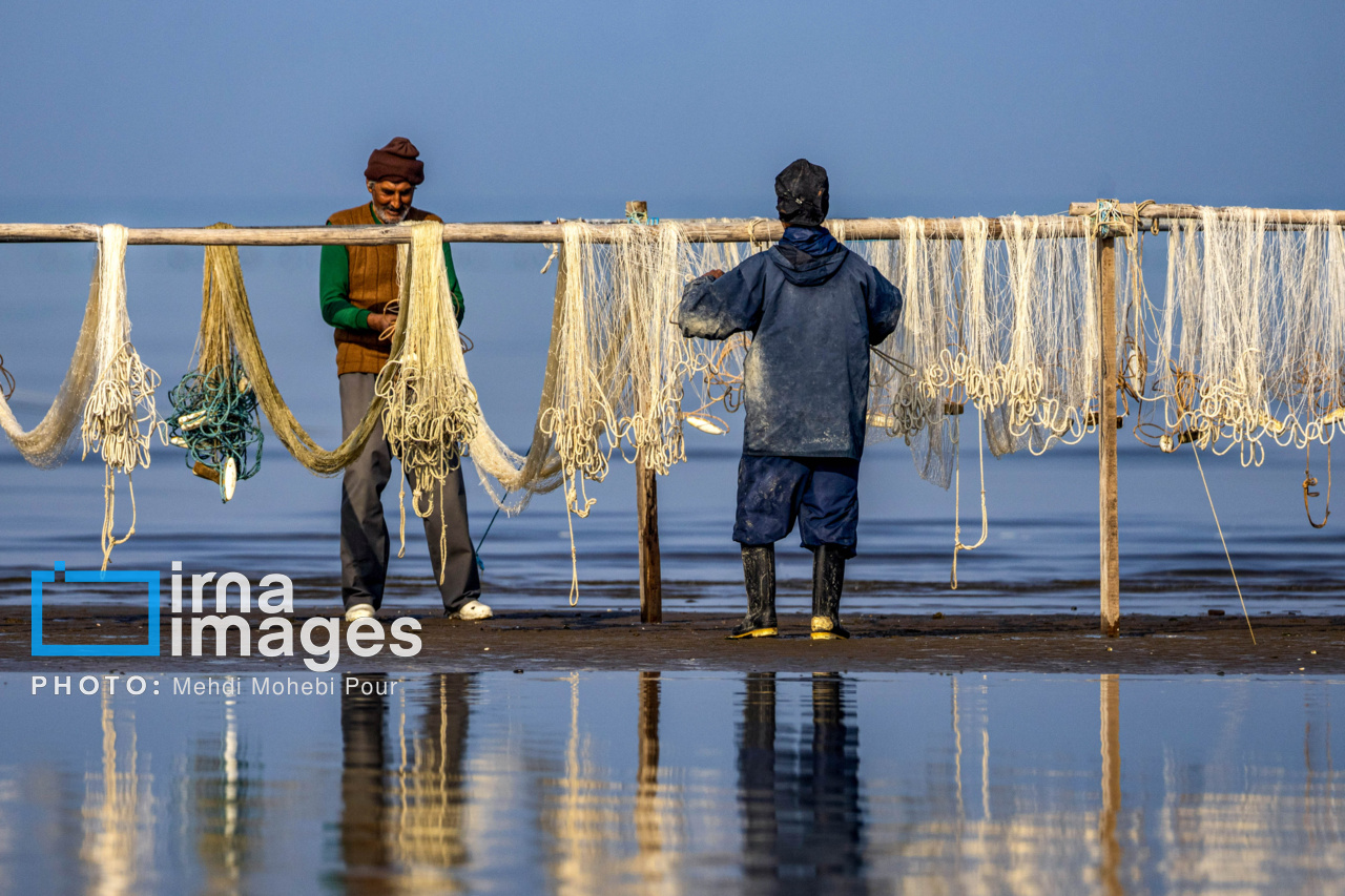 صید ماهی در خزر