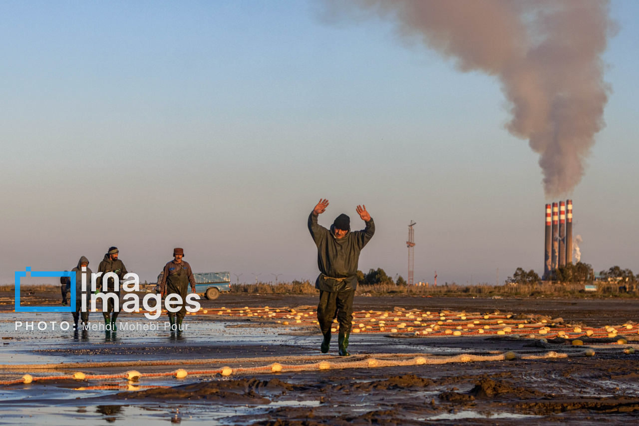 صید ماهی در خزر