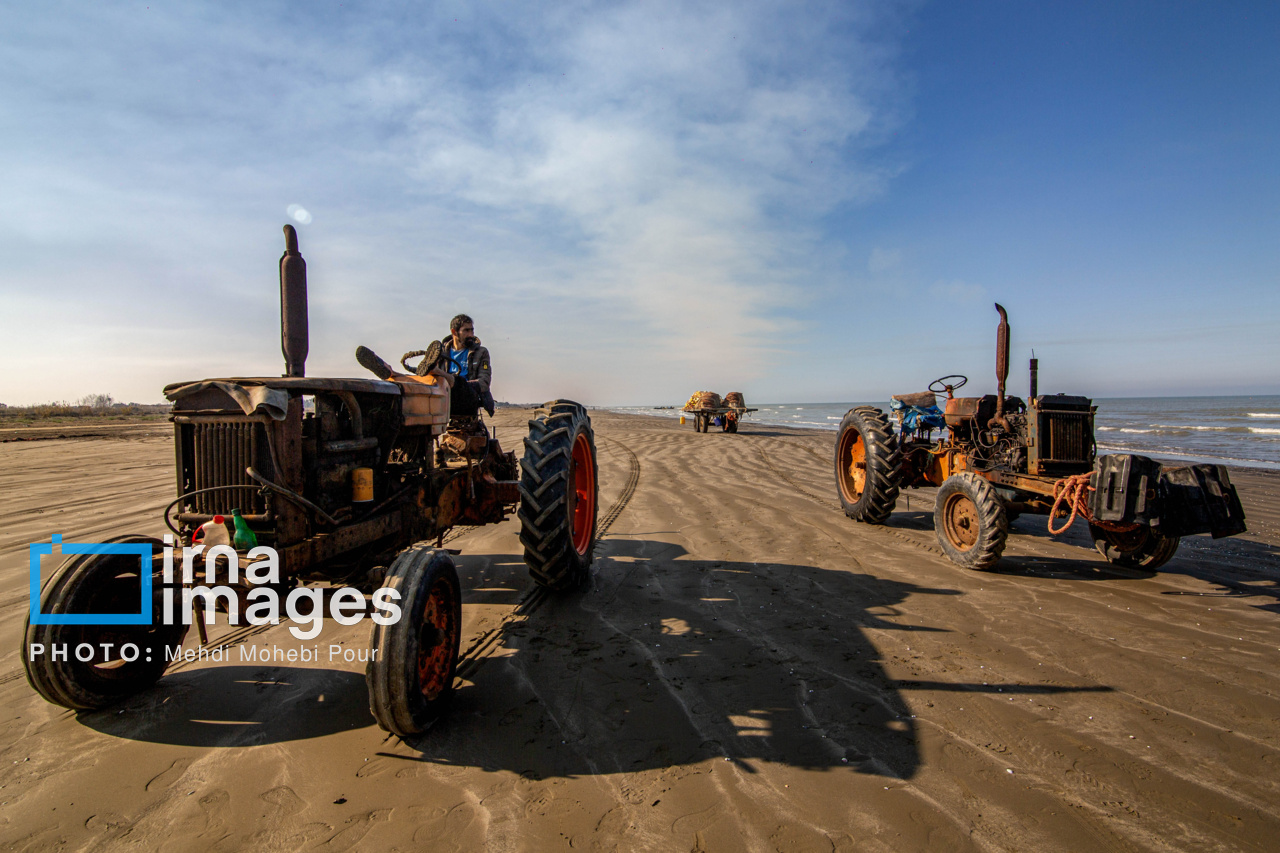 صید ماهی در خزر
