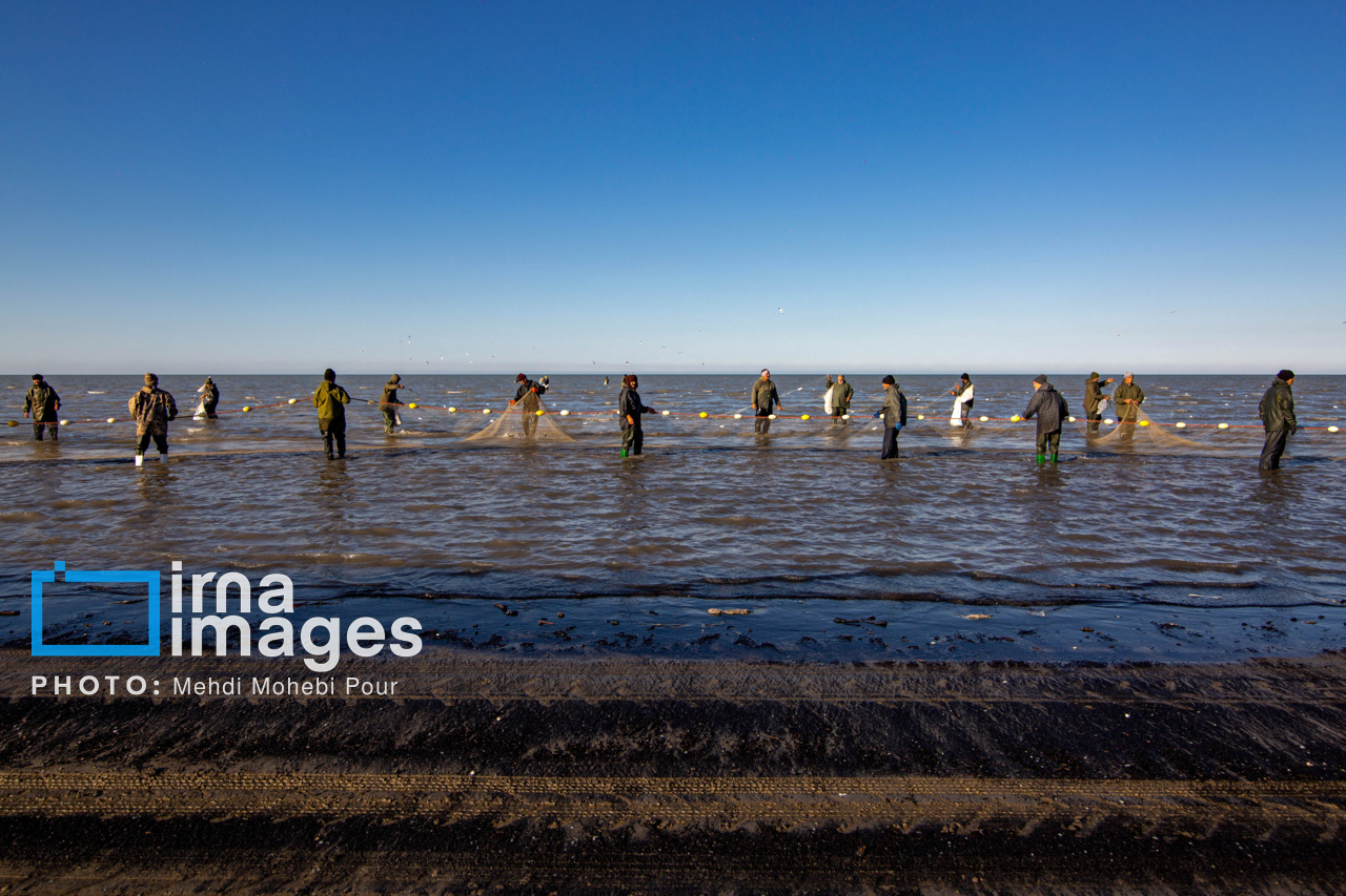 صید ماهی در خزر