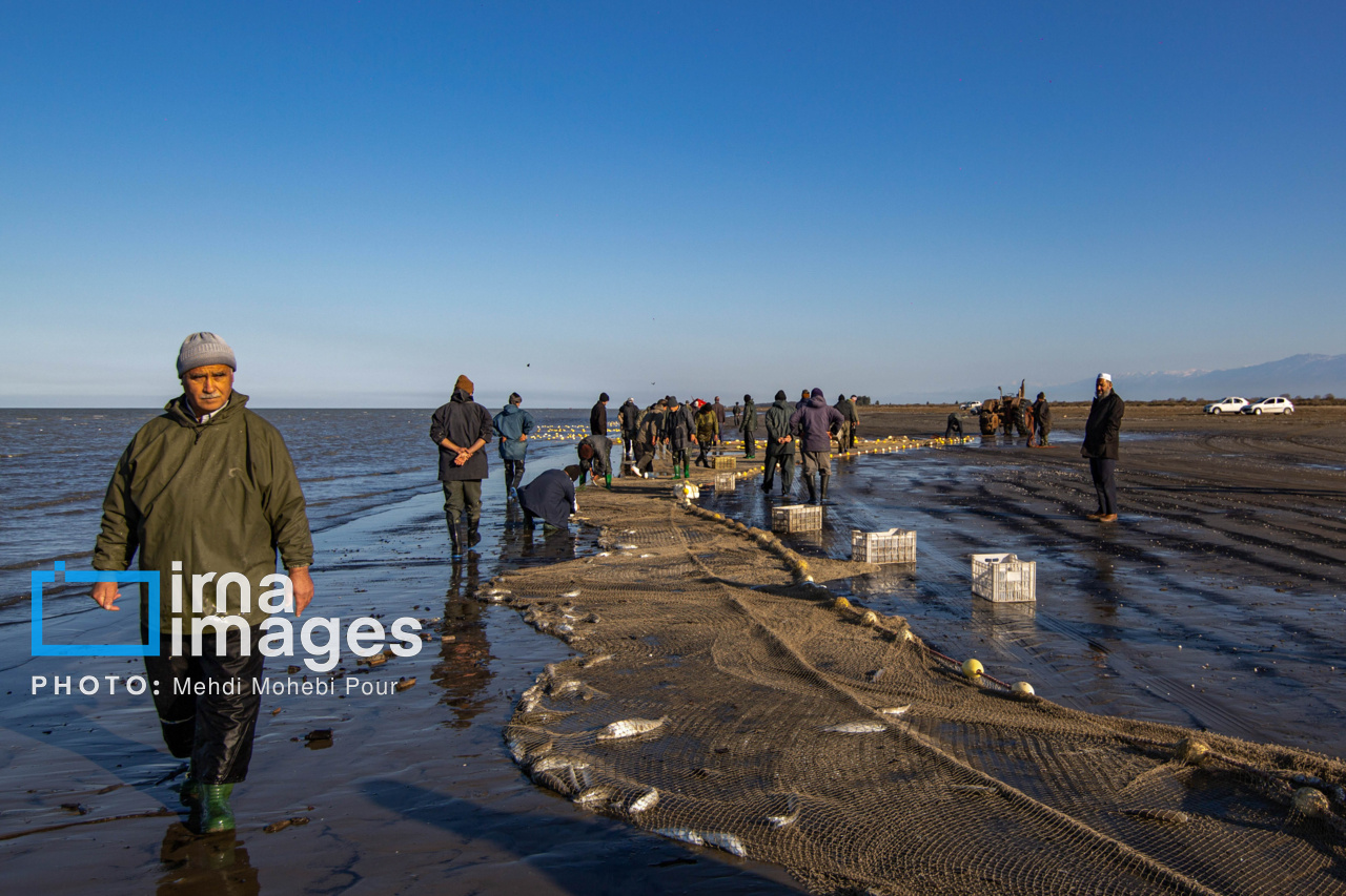 صید ماهی در خزر