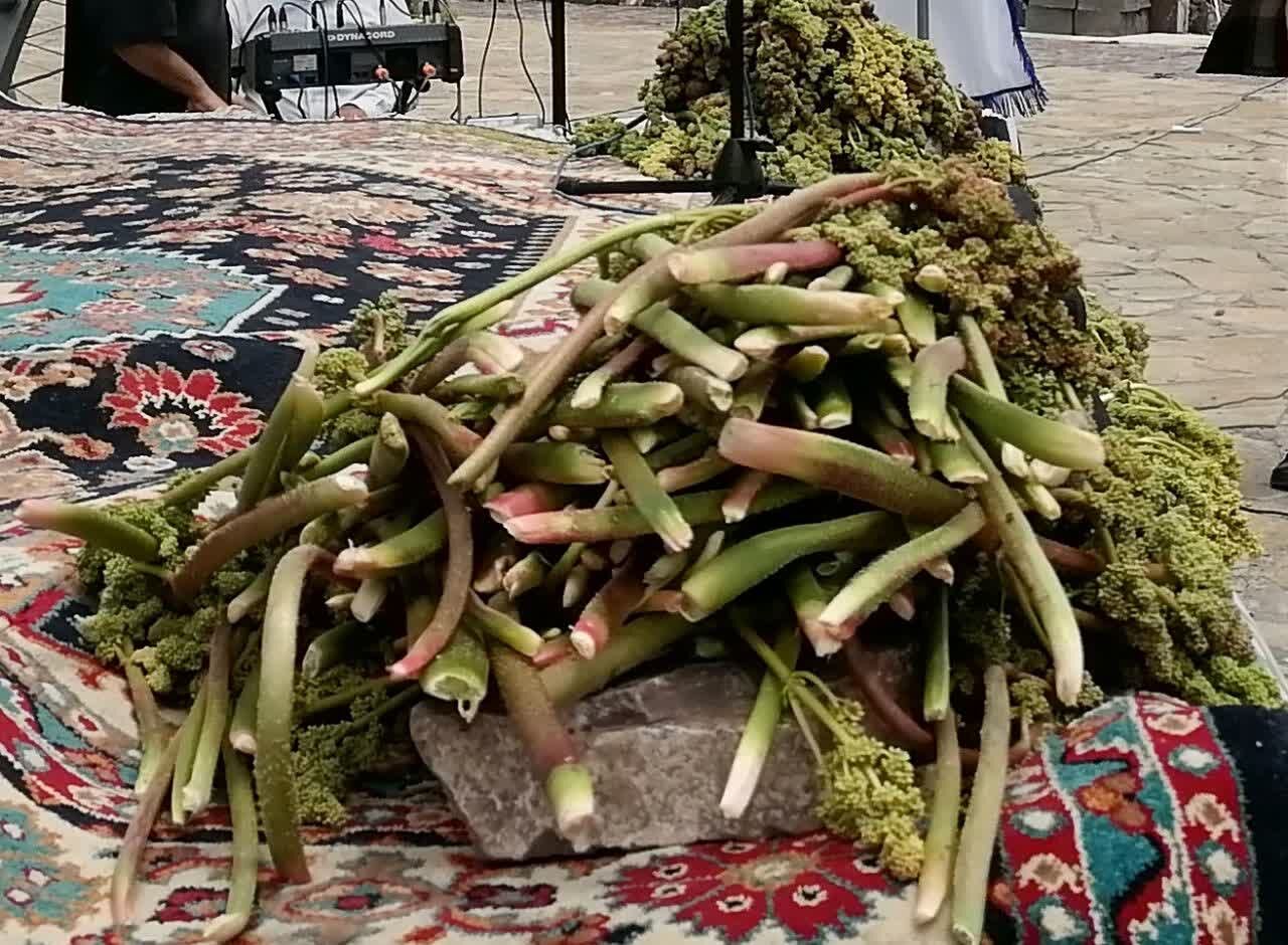 دومین جشنواره ریواس در بخش خلجستان قم برگزار شد