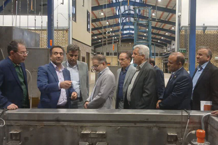 همدان روی ریل احیای کشاورزی؛ ۴۰۰ واحد راکد قابلیت بازگشت دارند