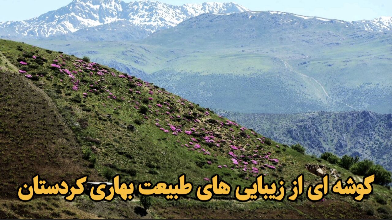 فیلم| گوشه ای از زیبایی های طبیعت بهاری کردستان