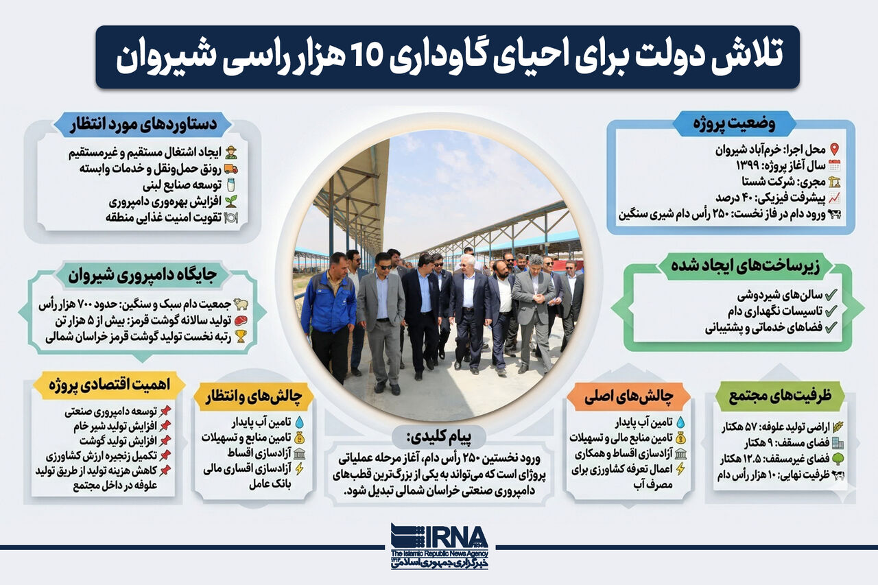 تلاش دولت برای احیای گاوداری ۱۰ هزار راسی شیروان
