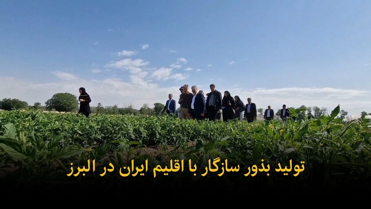 فیلم | تولید بذور سازگار با اقلیم ایران در البرز