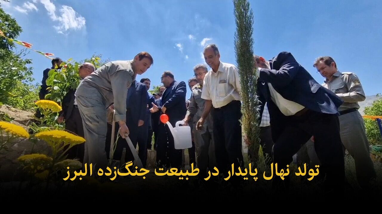 فیلم | تولد نهال پایداری در طبیعت جنگ‌زده البرز