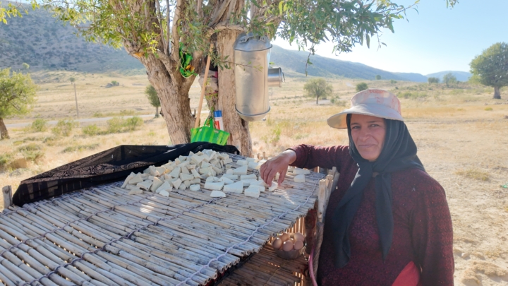 چه خبر از کرمان؟