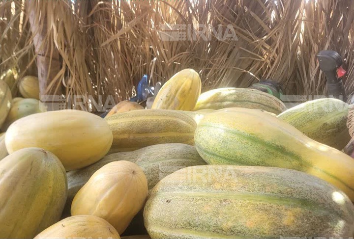 چه خبر از کرمان؟
